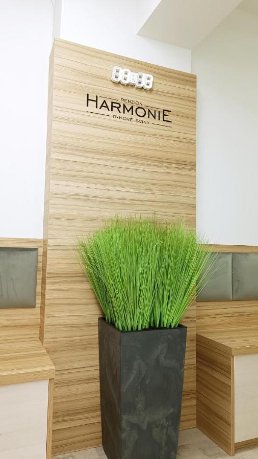 Trhové Sviny Penzion Harmonie מראה חיצוני תמונה
